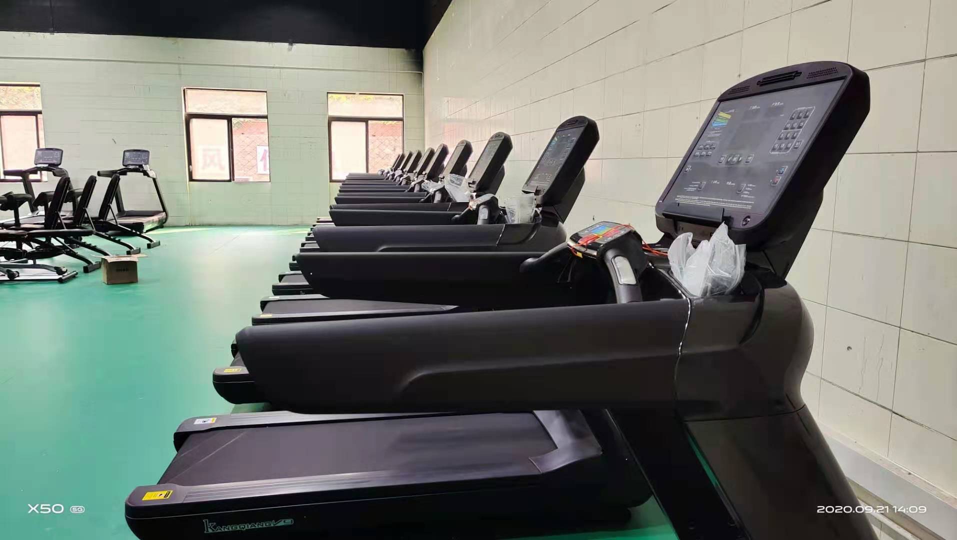 麻豆视频免费看